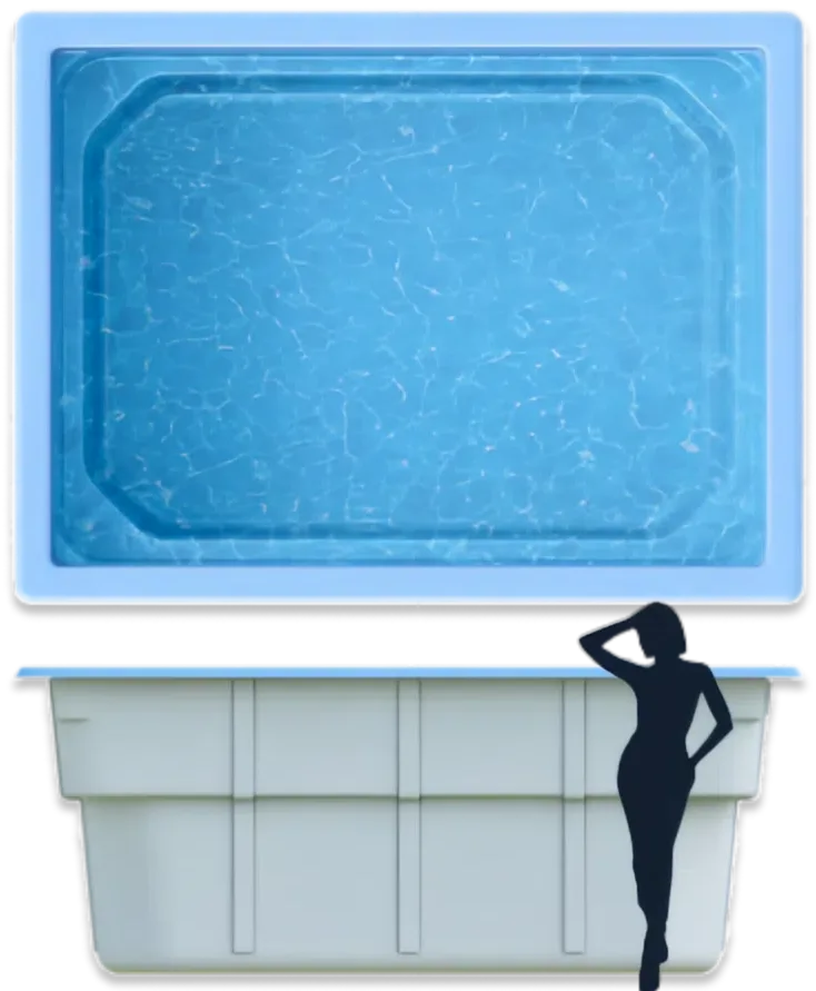 Laguna 4 — размеры и схема